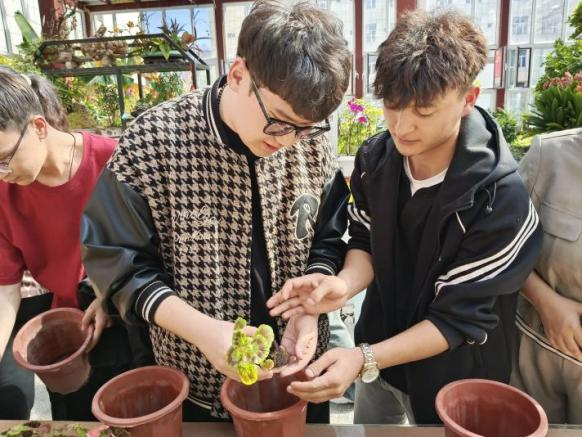 图片31.png 图片31.png