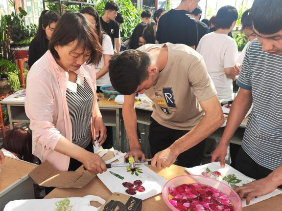 图片24.png 图片24.png