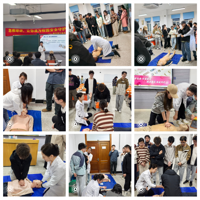 image-20250425114551-3