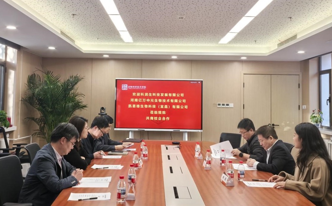 1743473417222021197.jpg 1_副本.jpg