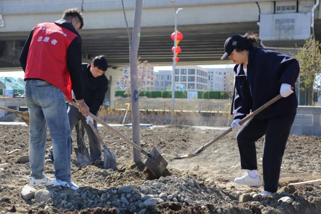 图片86.png 图片86.png