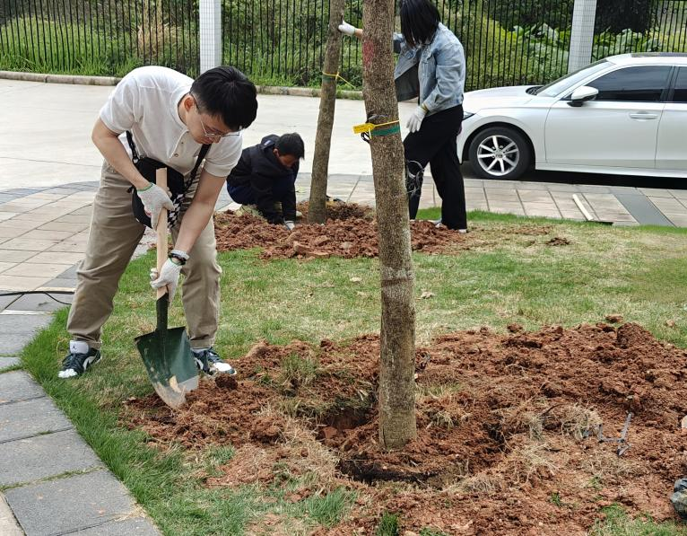 FrejlKgPVAMONDVZz8PvxYlveT5y_field_6_1744771932.png FrejlKgPVAMONDVZz8PvxYlveT5y_field_6_1744771932.png