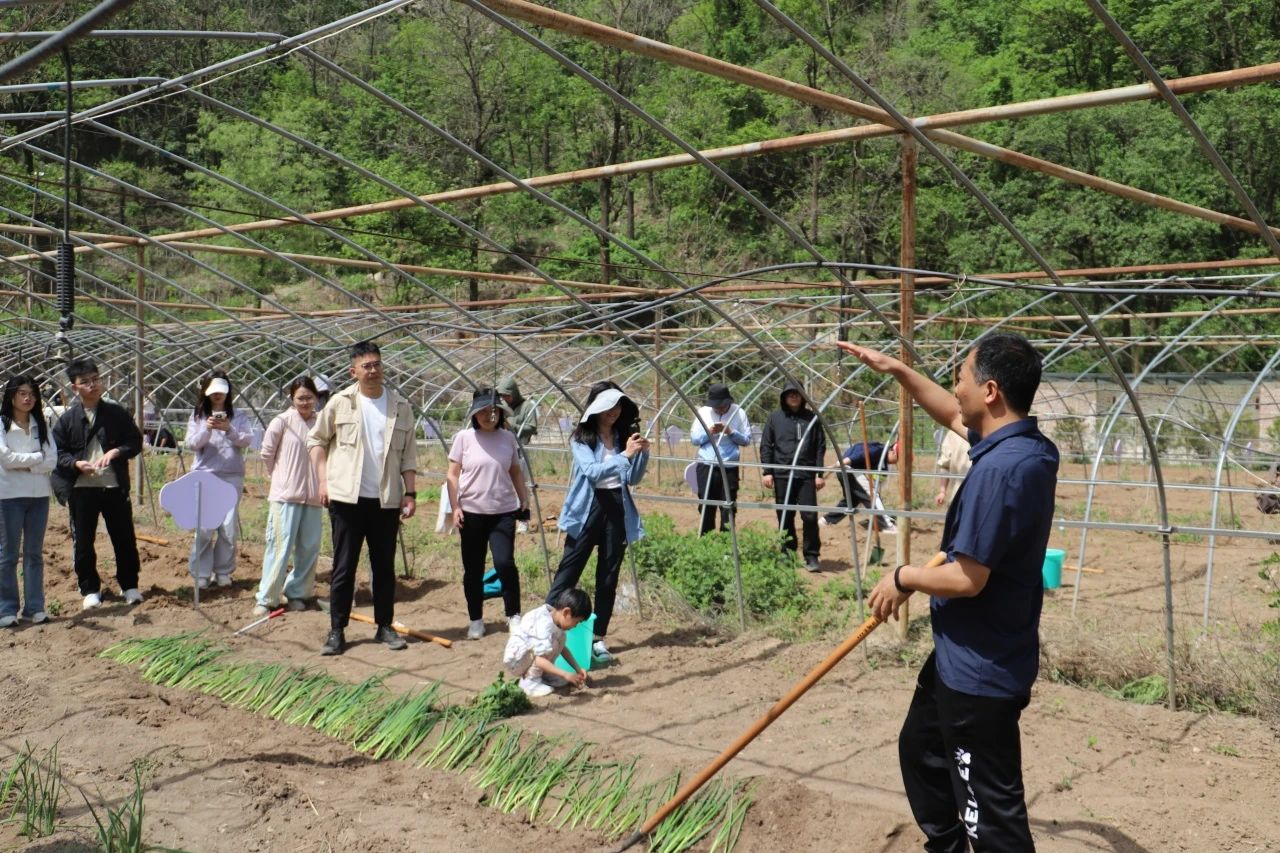 微信图片_20250506235321.jpg 微信图片_20250506235321.jpg