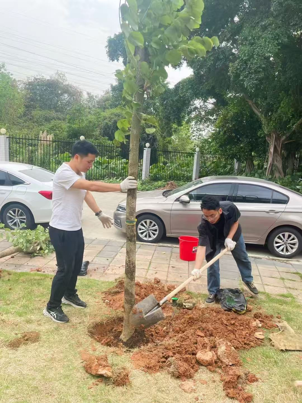 FhyXMi5YMEaf-07JpU7MXTGbDNg5_field_6_1744771934.png FhyXMi5YMEaf-07JpU7MXTGbDNg5_field_6_1744771934.png