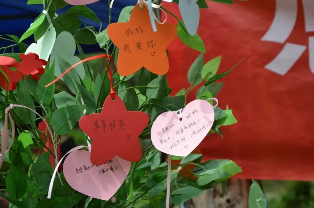 图片27.png