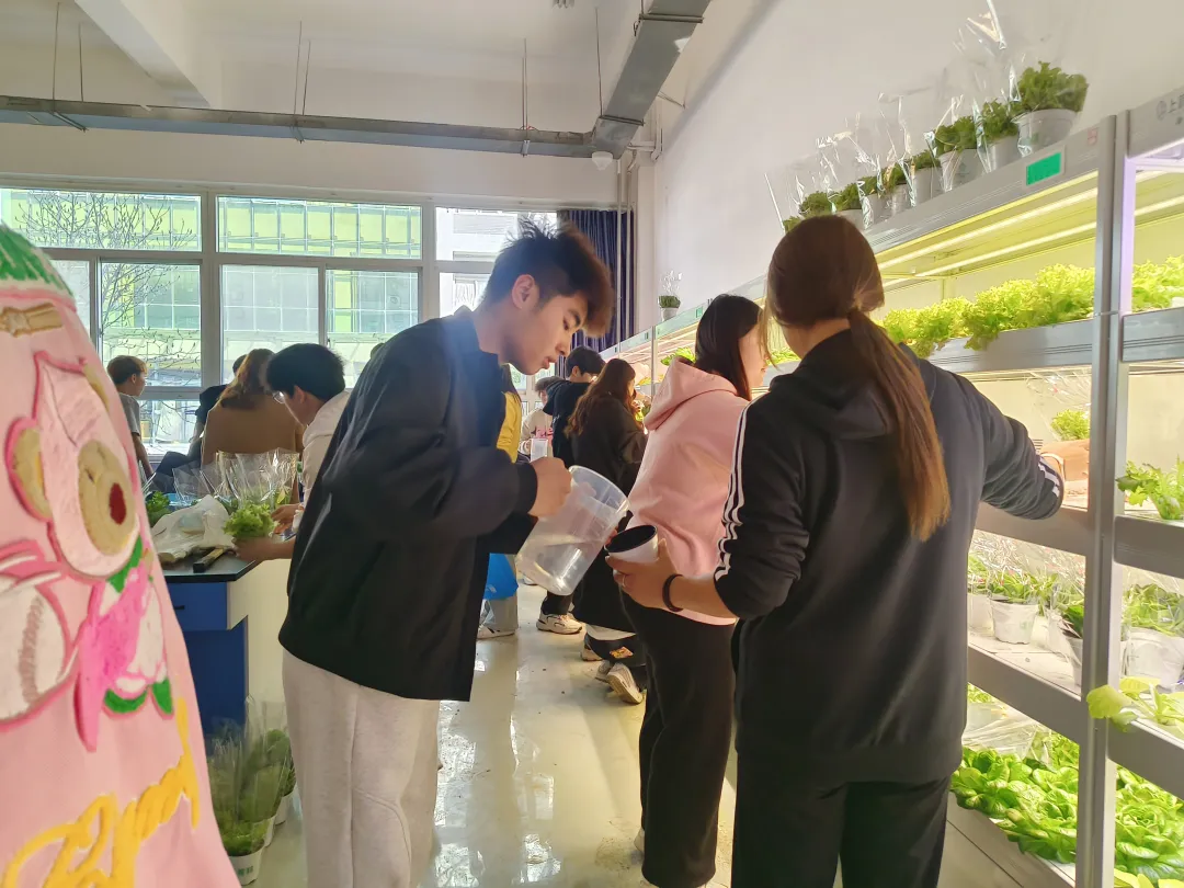 微信图片_20250508183729.png 微信图片_20250508183729.png