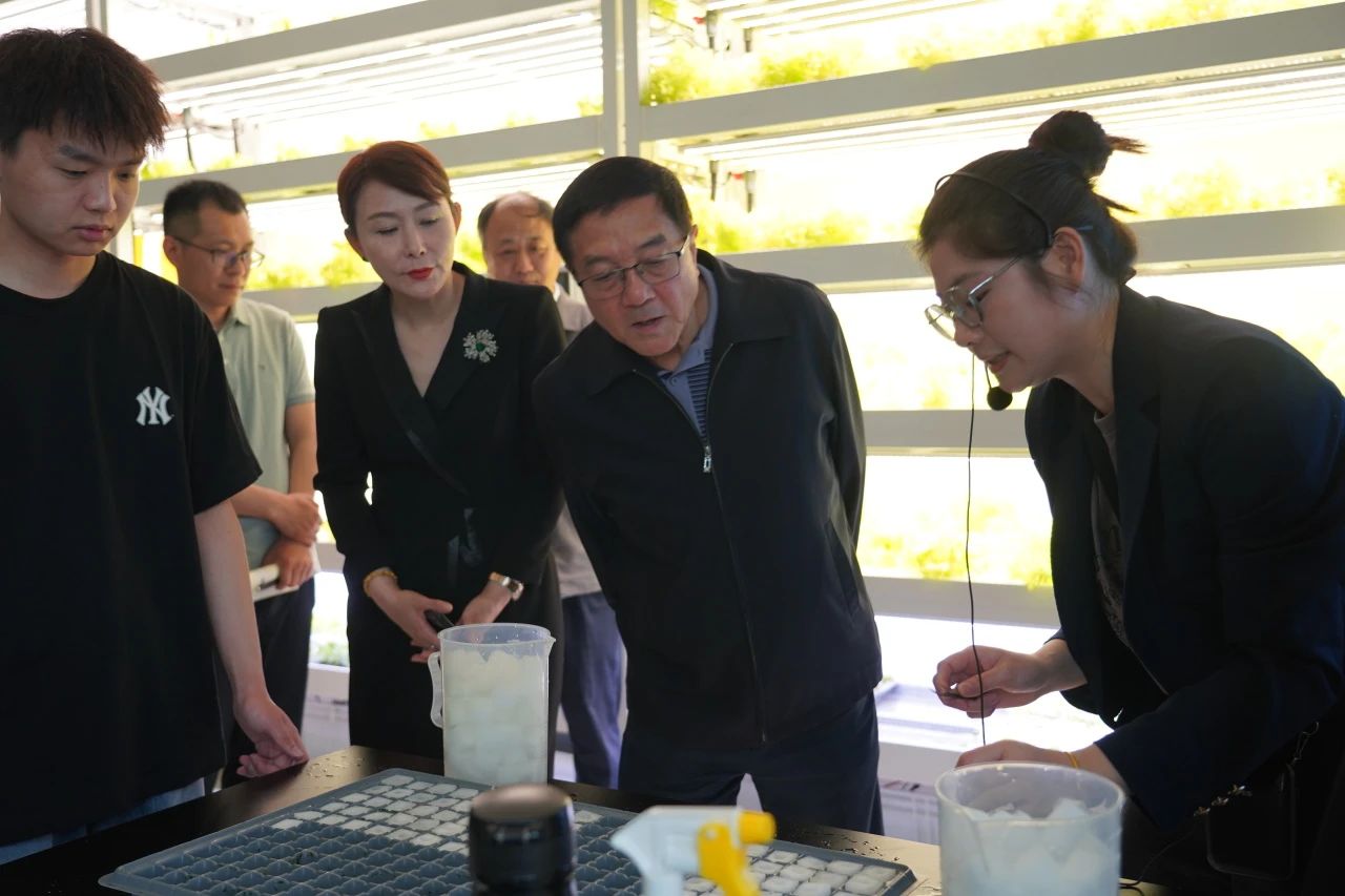 微信图片_20250508183714.jpg 微信图片_20250508183714.jpg