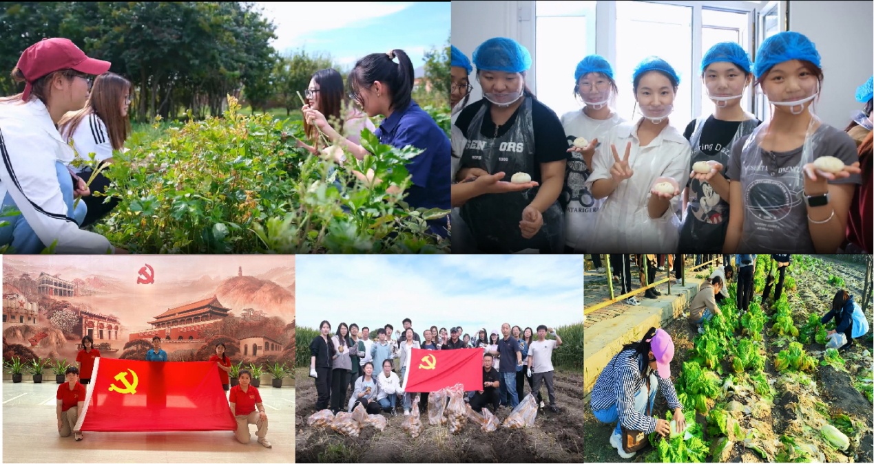 图片11.png