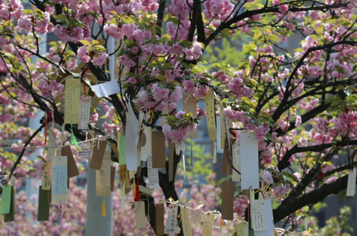 屏幕截图 2025-05-15 190002.png