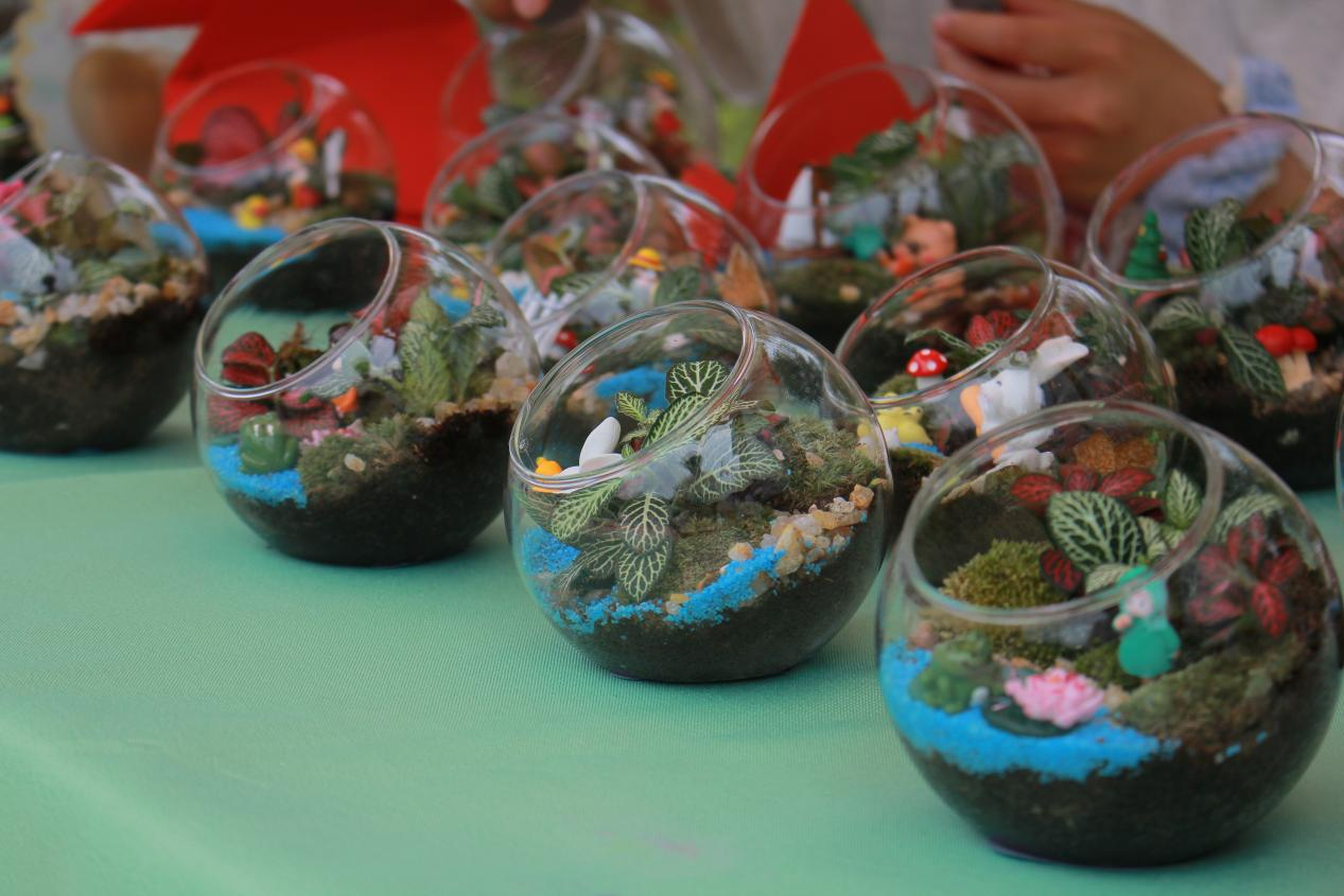 图片5.png 图片5.png