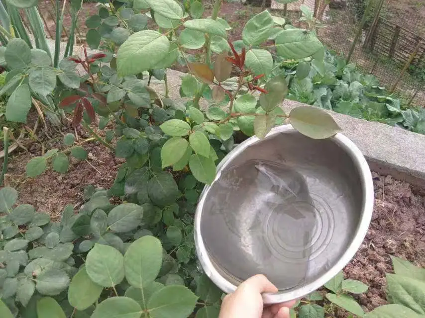 图片8.png 图片8.png