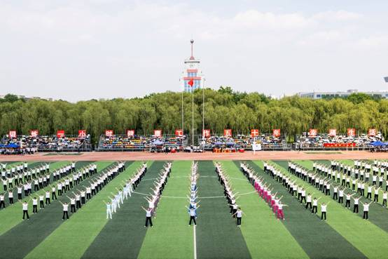 图片19.png 图片19.png