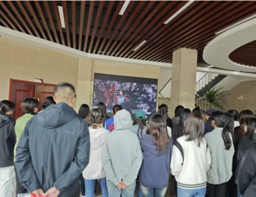 屏幕截图 2025-05-28 141058.png