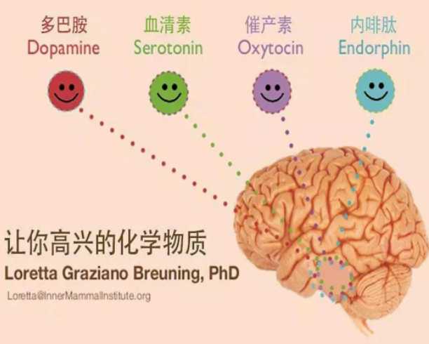 微信图片_20250530102850.png 微信图片_20250530102850.png