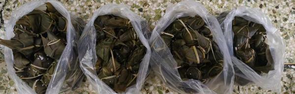 师生的劳动成果(1).jpg 师生的劳动成果(1).jpg