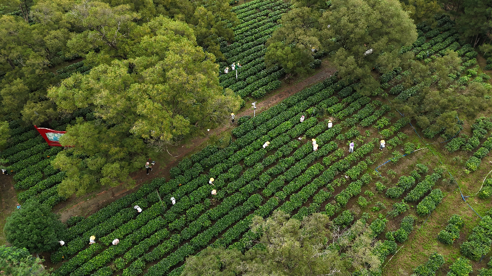 641154199a534-c199-453c-a7a2-32985cc09a44.png 641154199a534-c199-453c-a7a2-32985cc09a44.png