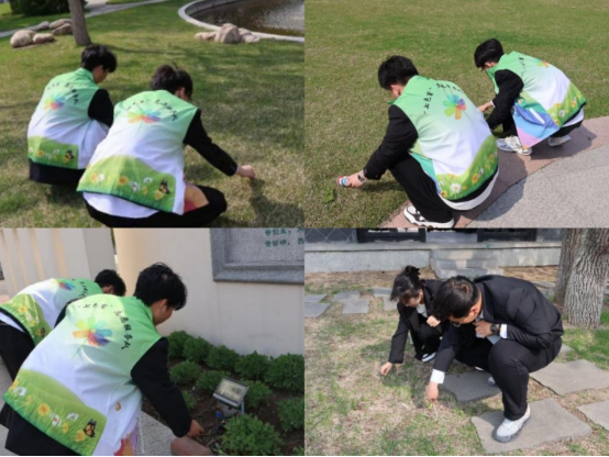 1749180440756.jpg 1749180440756.jpg