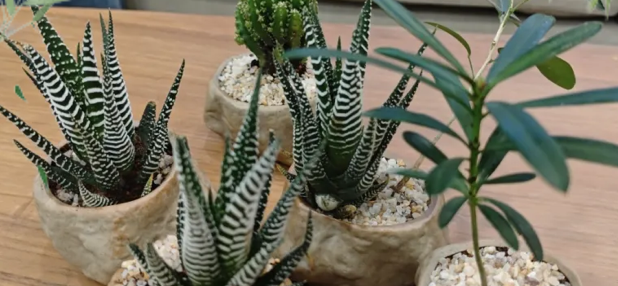 截屏2025-06-09 下午9.29.23.png 截屏2025-06-09 下午9.29.23.png