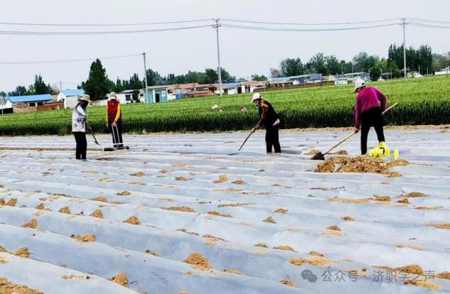 微信图片_20250611092641.png 微信图片_20250611092641.png