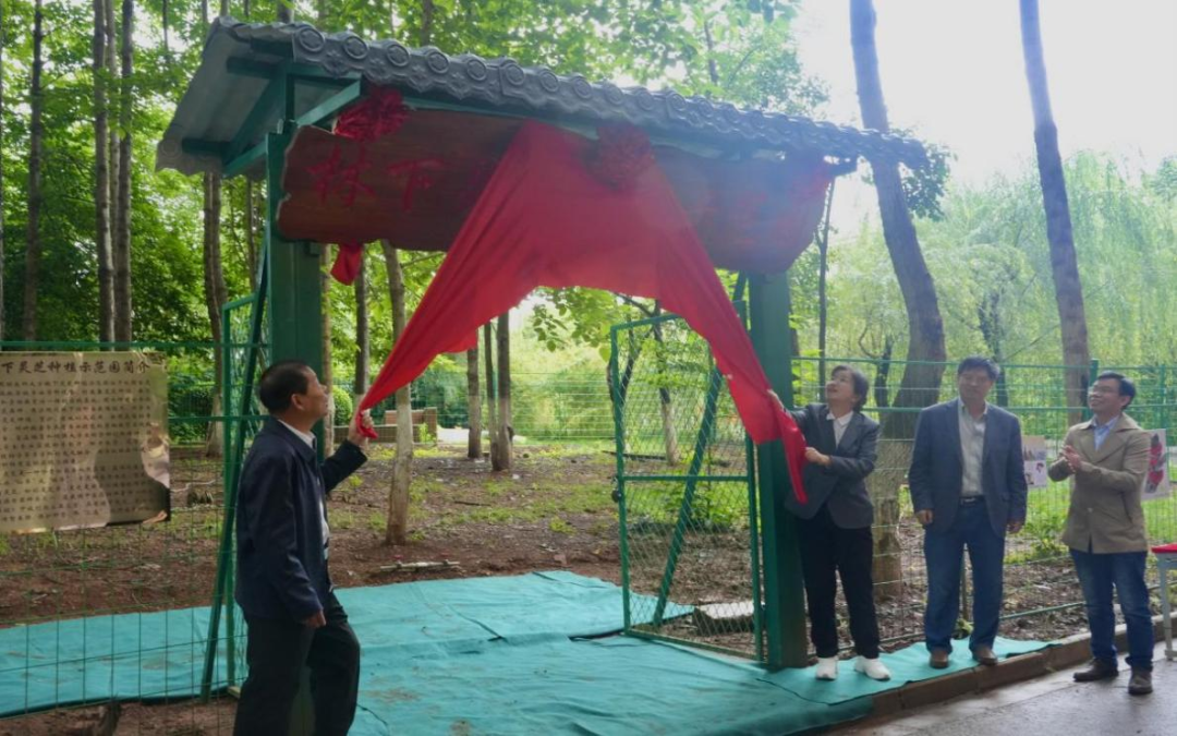 640 (4).png 640 (4).png