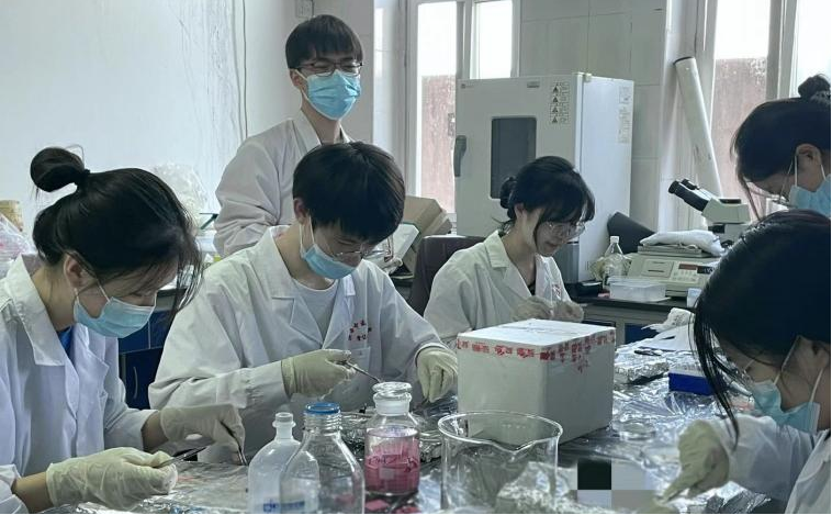 图片2.png 图片2.png