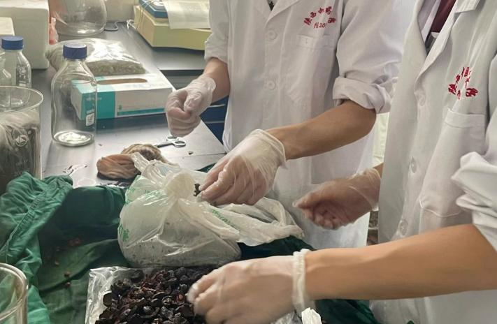 图片3.png 图片3.png