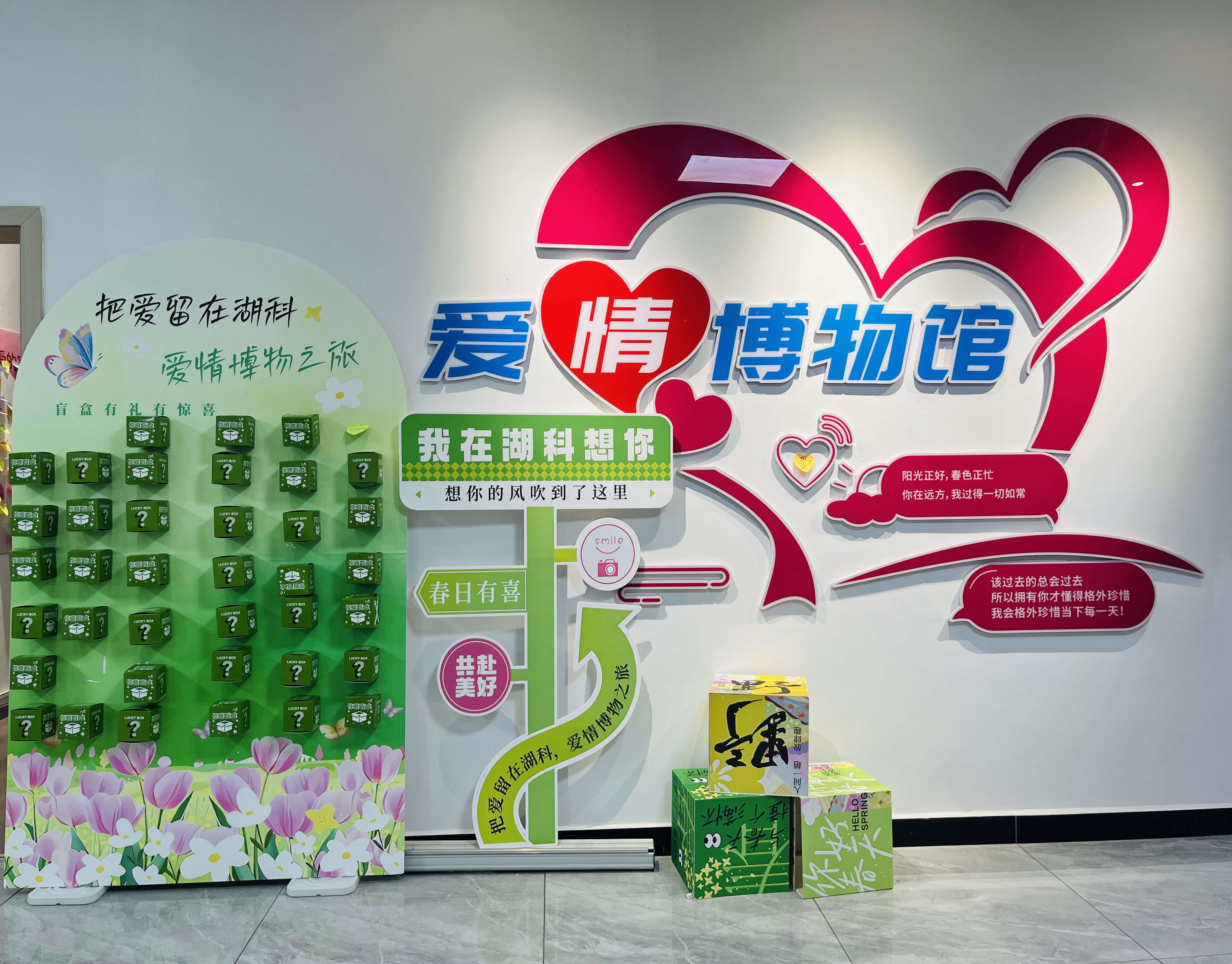 图片12.png