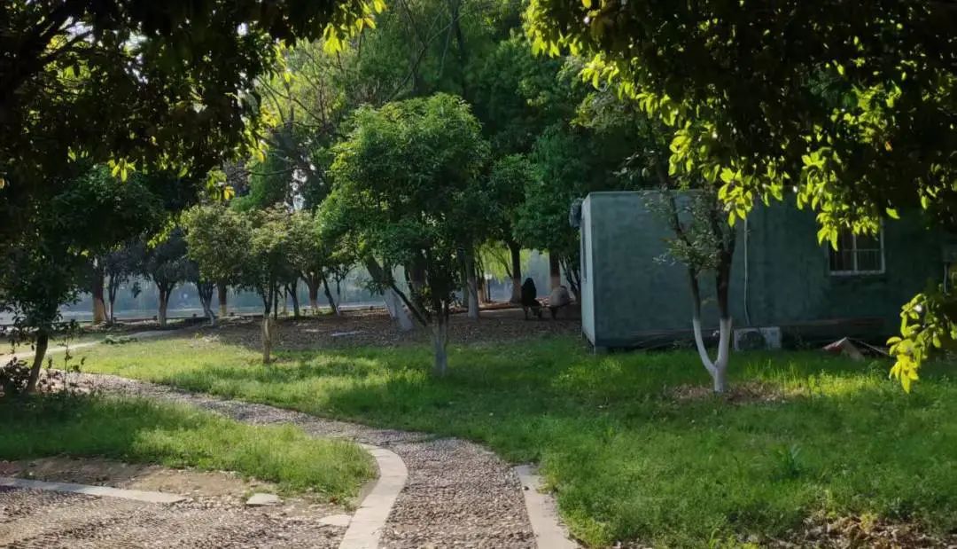 微信图片_20250617193546.jpg