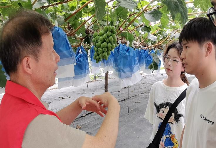 图片 6.png 图片 6.png