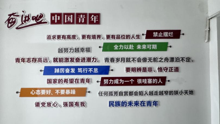 党建领航数智赋能青春点亮社区新貌