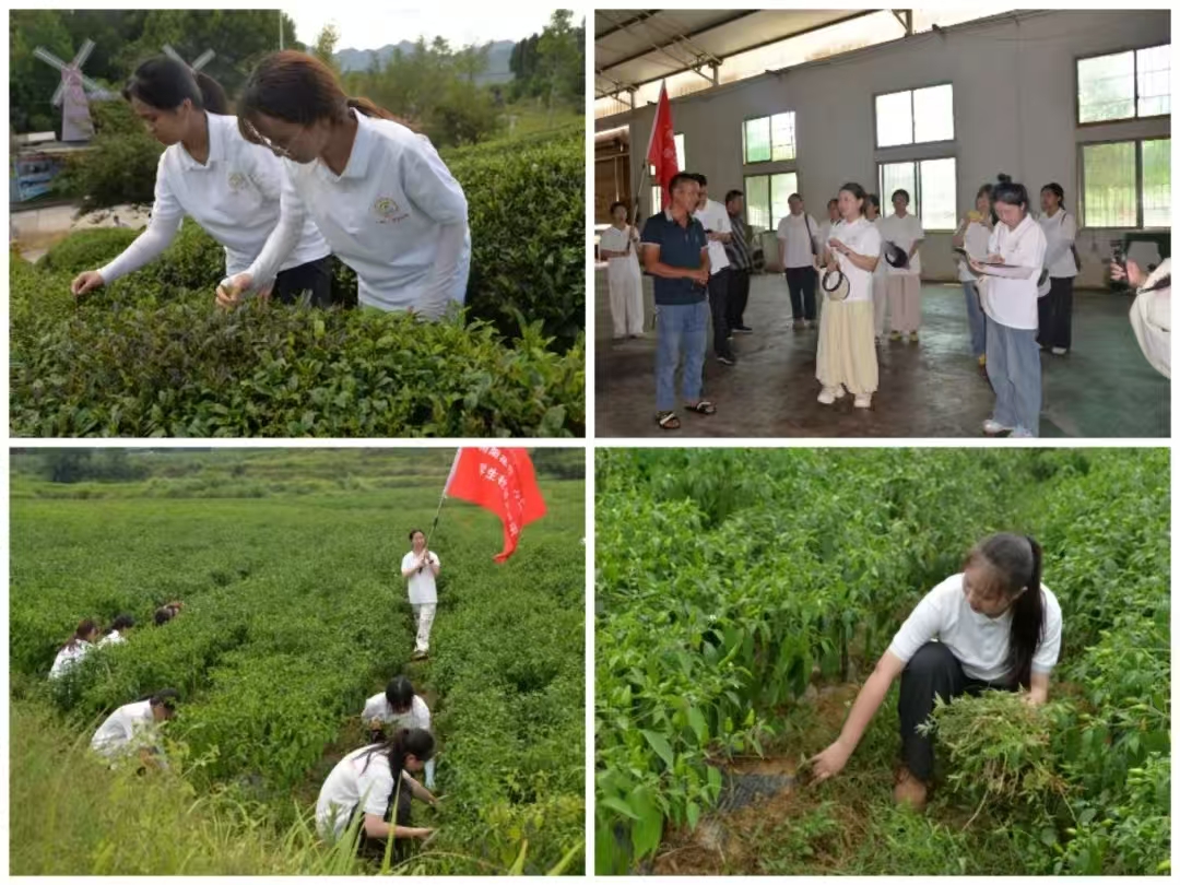 微信图片_20250723145425.jpg 微信图片_20250723145425.jpg