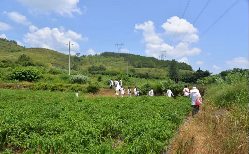 e331a1a17d25ecb9b864ead8fe4cce6.jpg e331a1a17d25ecb9b864ead8fe4cce6.jpg