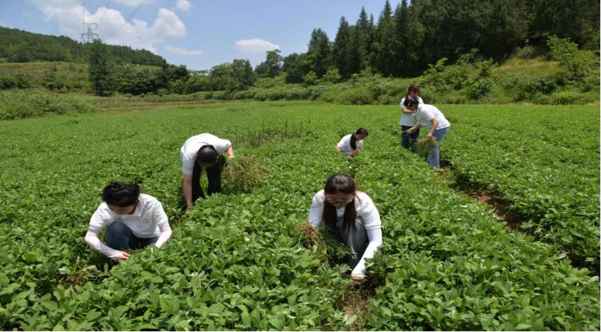 01990305b44b389d550b1c0b5f5c3ab.jpg 01990305b44b389d550b1c0b5f5c3ab.jpg