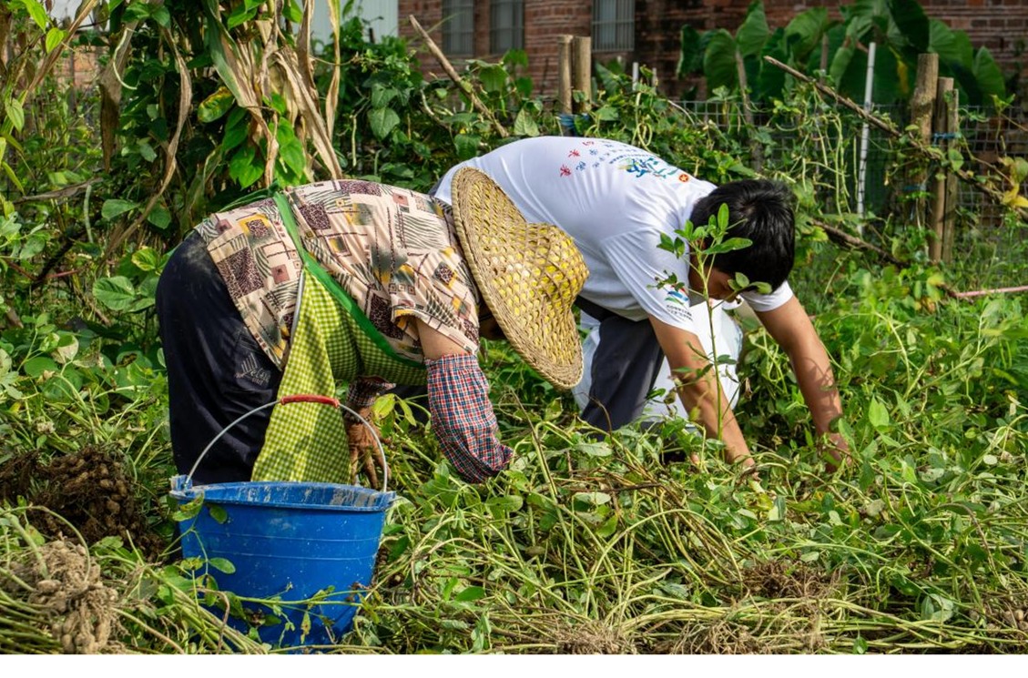 团队成员在田间实践.jpg 团队成员在田间实践.jpg