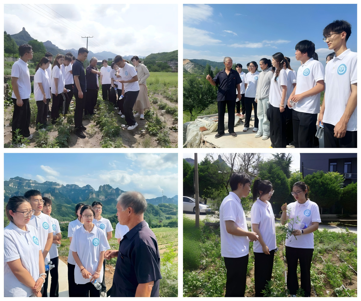 WPS拼图0.png WPS拼图0.png