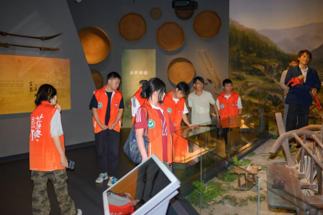 实践队员参观宜昌市博物馆.png