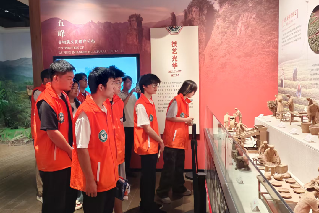 实践队员参观五峰文物馆.png