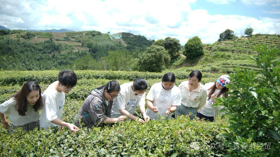 微信图片_20250821230025.png 微信图片_20250821230025.png