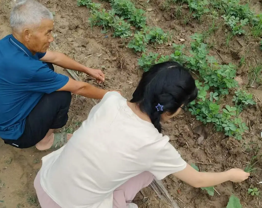 屏幕截图 2025-08-26 195620.png 屏幕截图 2025-08-26 195620.png