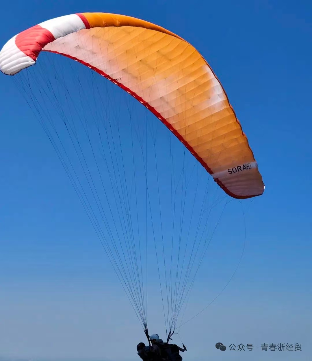 微信图片_20250903103513.jpg 微信图片_20250903103513.jpg