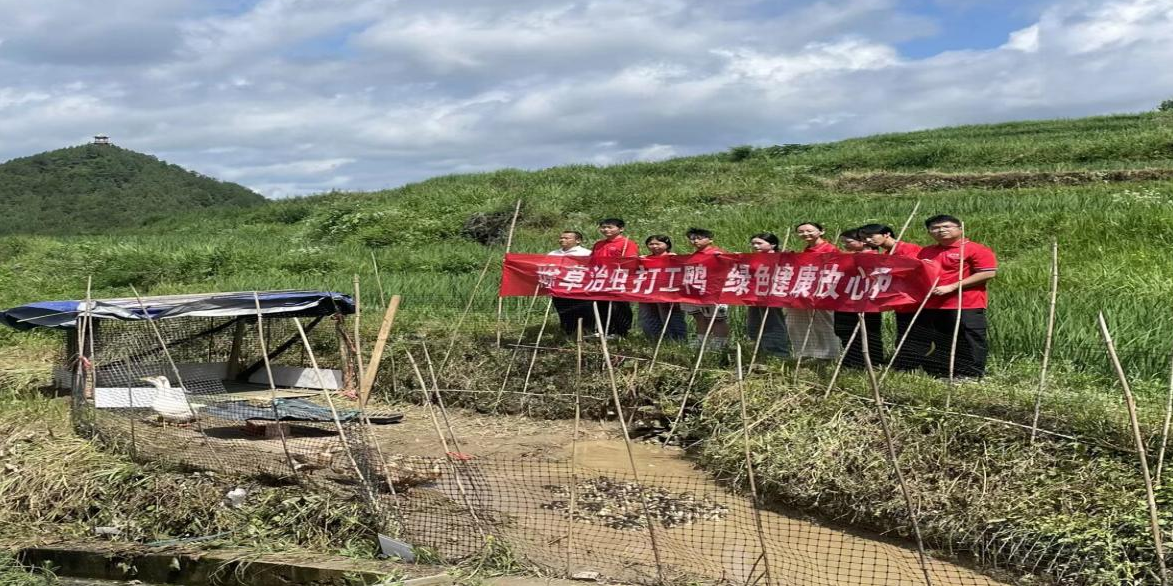 图片14.png 图片14.png