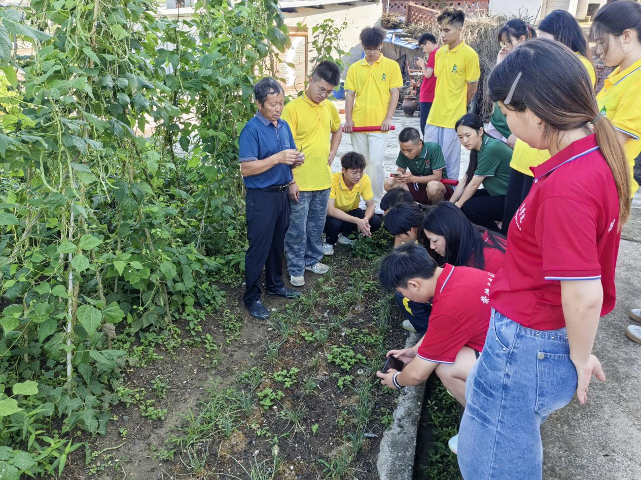 图片11.png 图片11.png