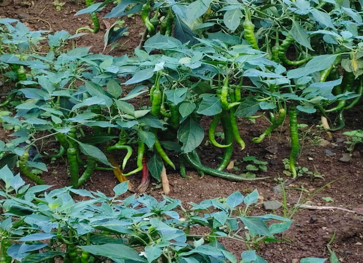 图片12.png 图片12.png