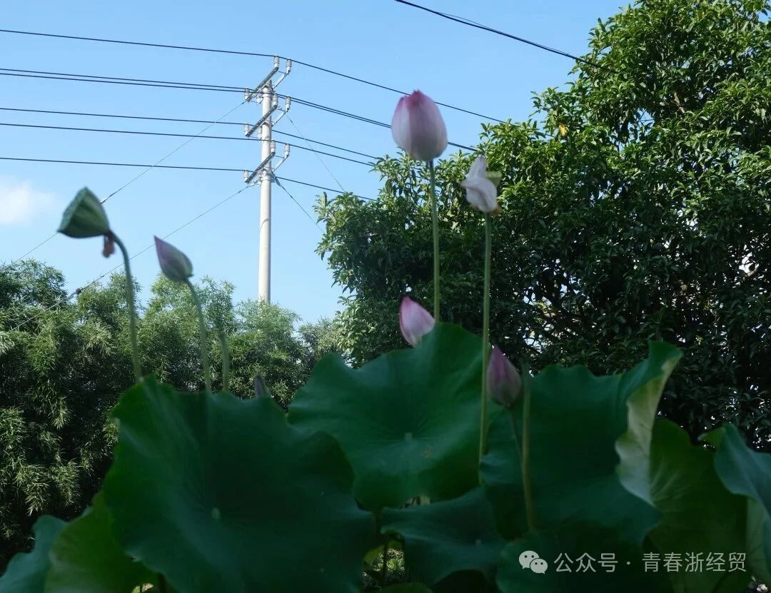 微信图片_20250908110031.jpg 微信图片_20250908110031.jpg