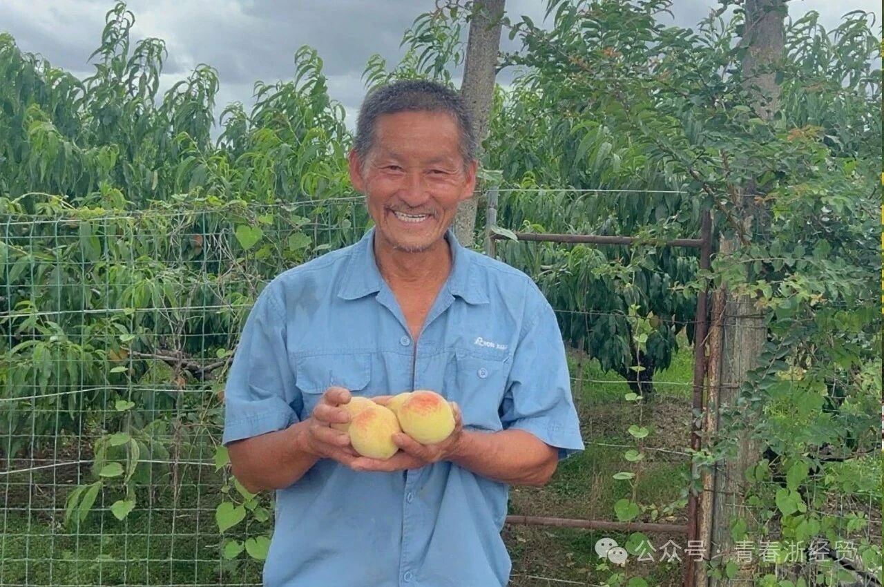 微信图片_20250910135428.jpg 微信图片_20250910135428.jpg