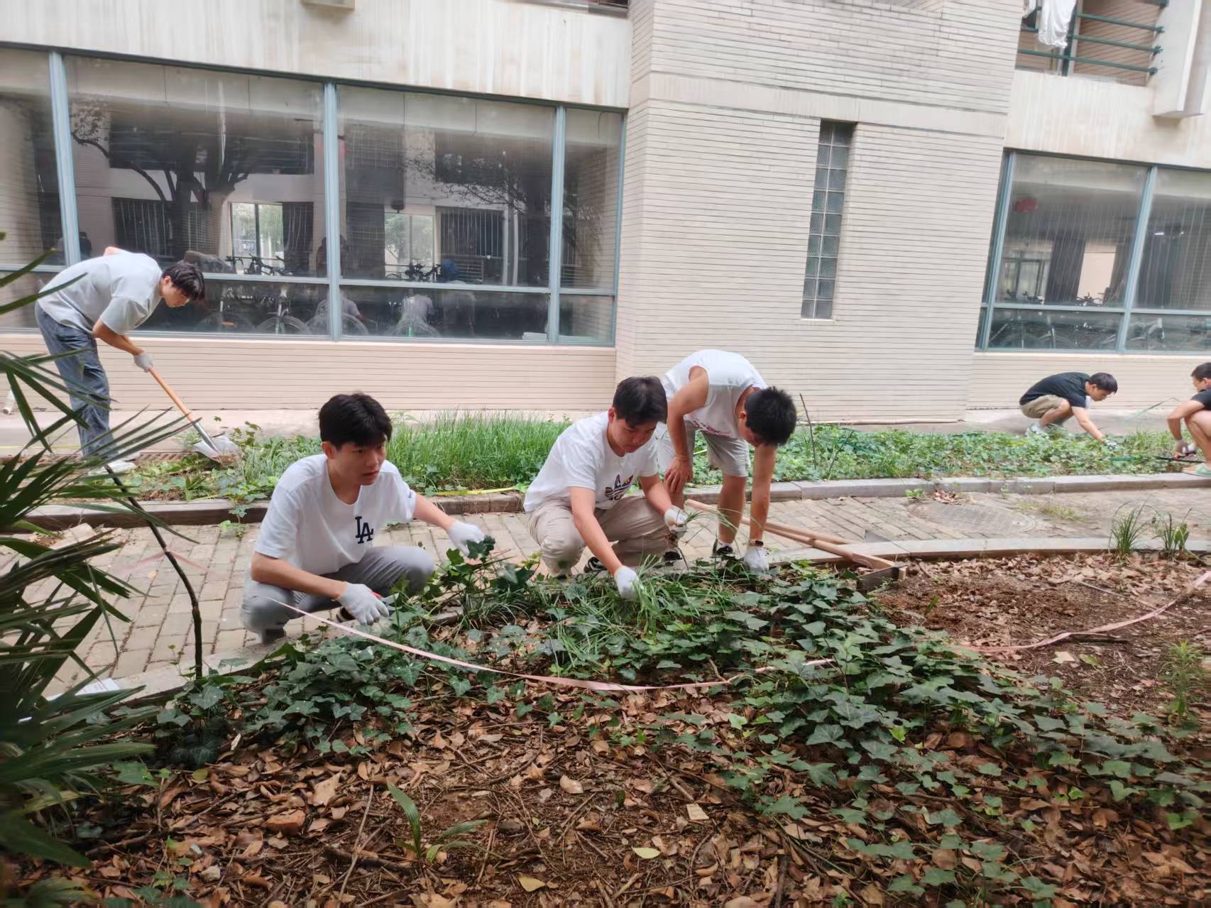 学生公寓楼中心绿化区劳动实践课.jpg