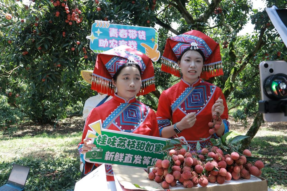 图片1.png 图片1.png