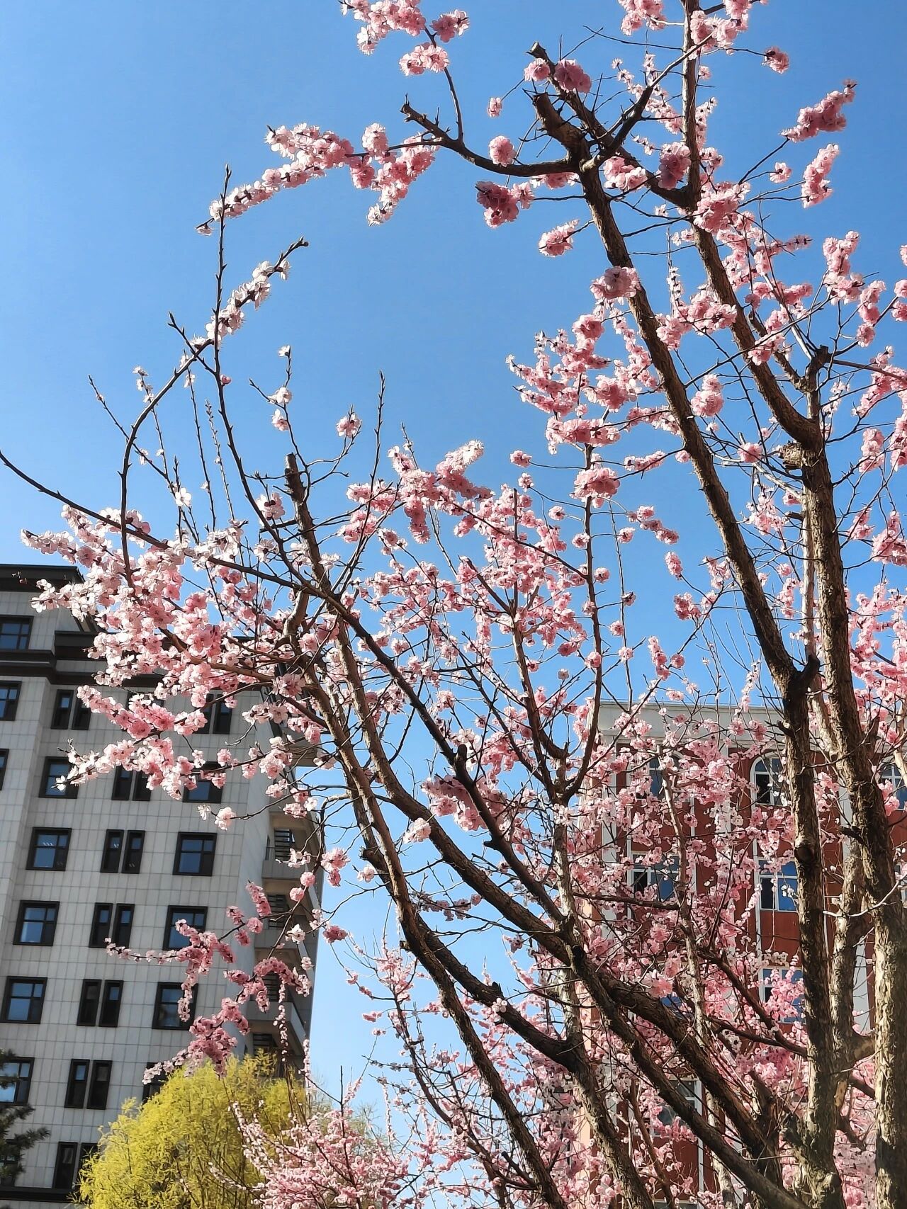 微信图片_2025-09-25_142838_427.jpg 微信图片_2025-09-25_142838_427.jpg