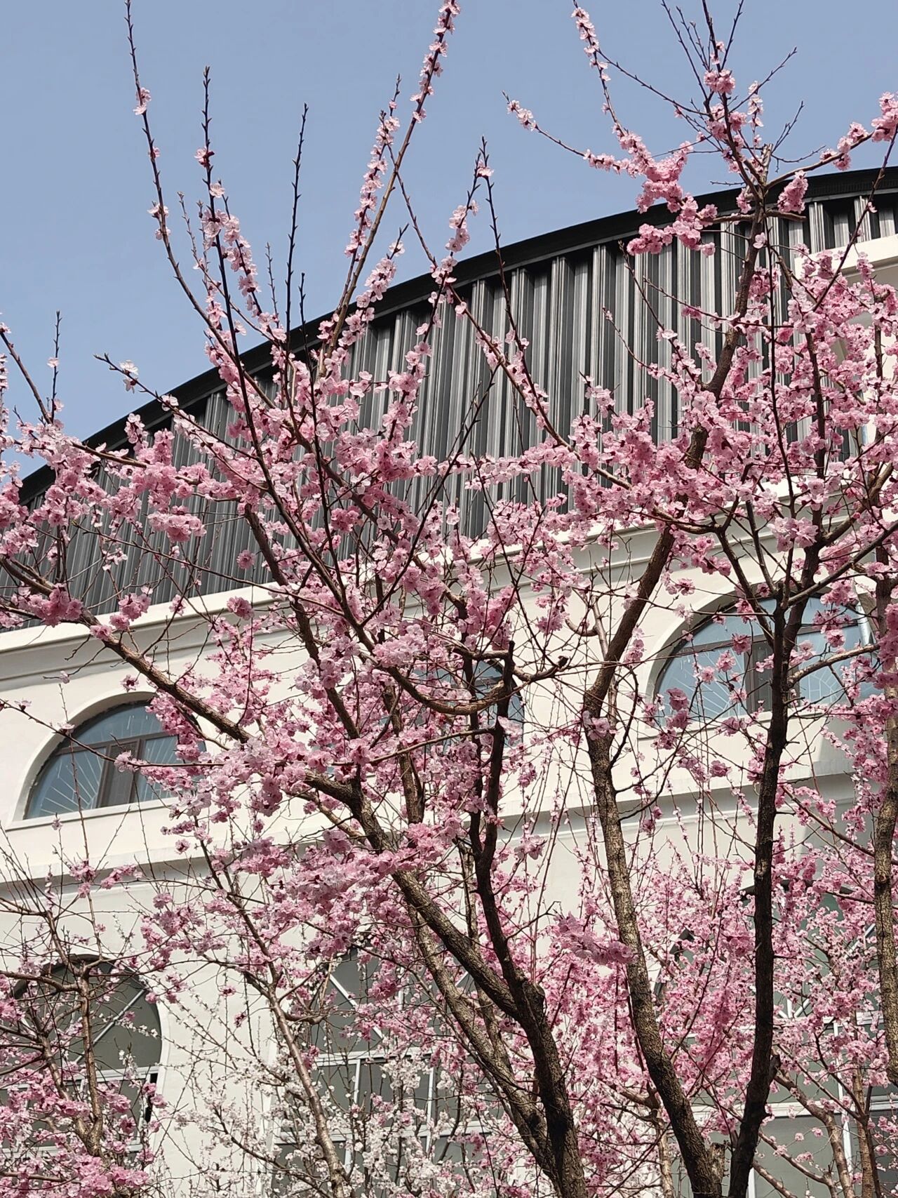 微信图片_2025-09-25_142842_879.jpg 微信图片_2025-09-25_142842_879.jpg