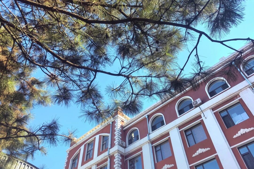 微信图片_2025-09-25_142829_381.jpg 微信图片_2025-09-25_142829_381.jpg